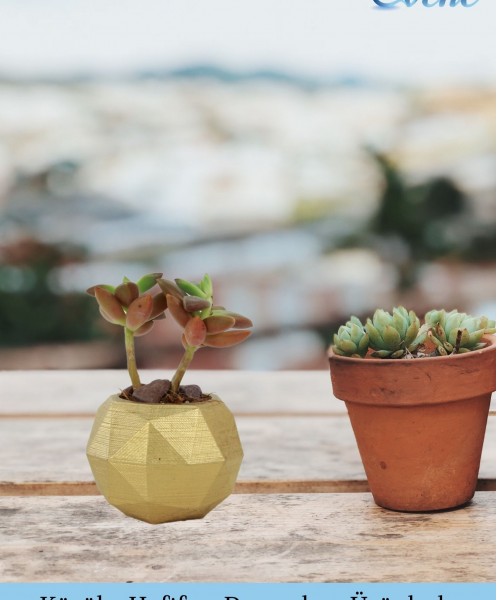 Mini Çiçek Saksı Küçük Sukulent Altın Kaktüs Saksısı 3lü Set Mini Poly Silindir Model